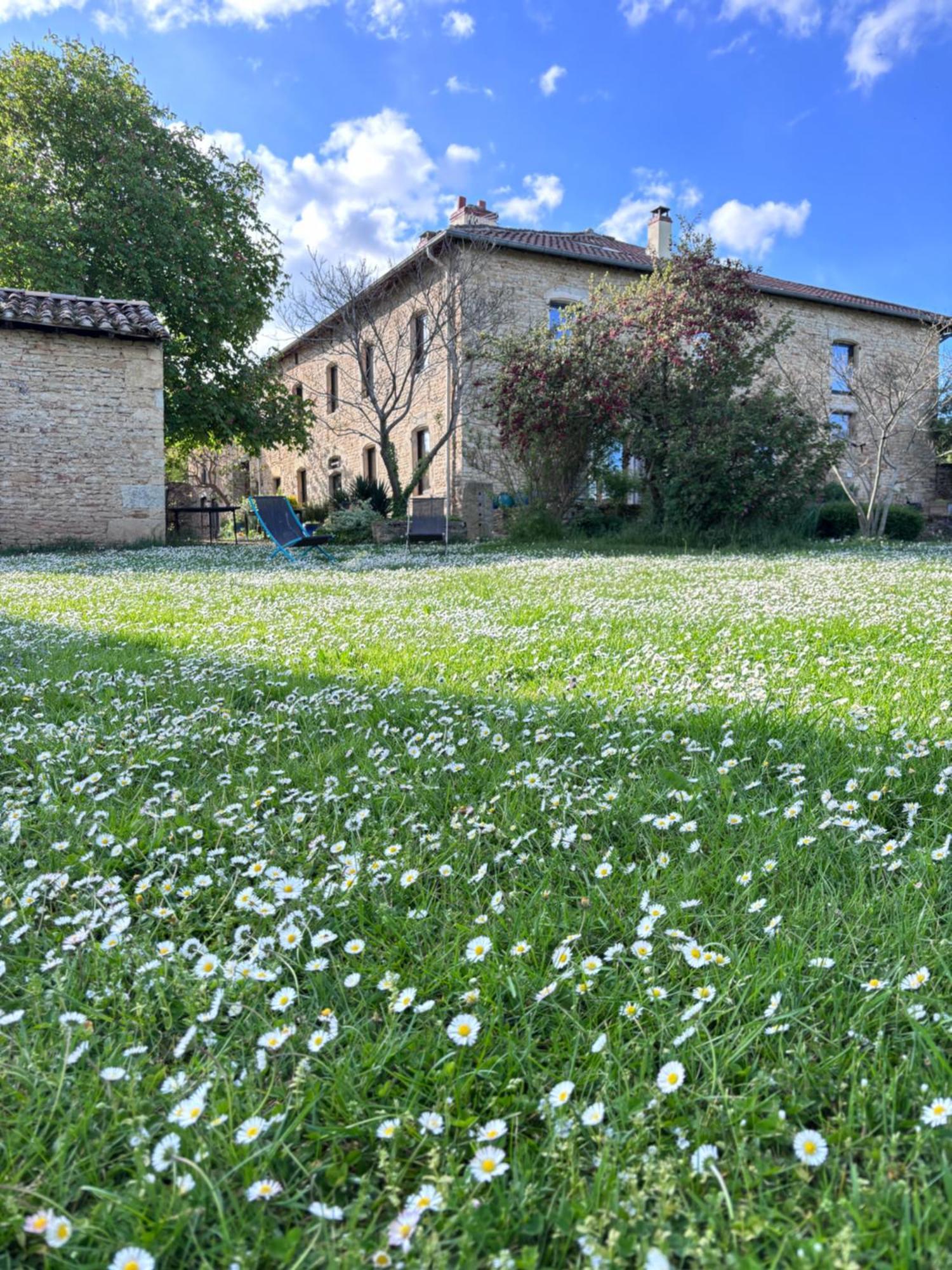 Mazille Domaine Du Vernay المظهر الخارجي الصورة