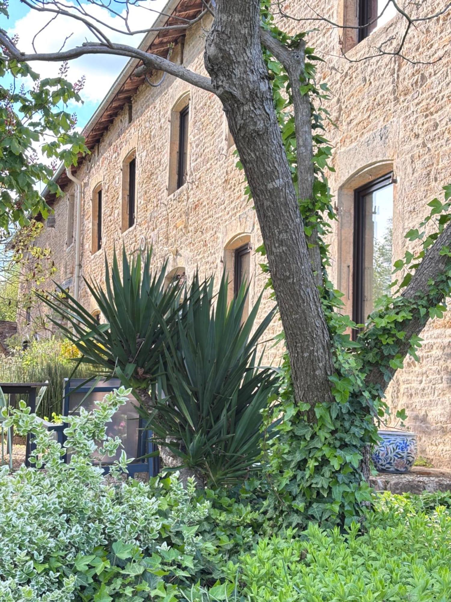 Mazille Domaine Du Vernay المظهر الخارجي الصورة